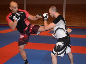 Pancrace : middle kick