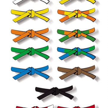 Passage de ceinture des enfants