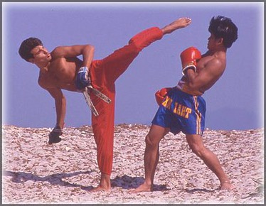Entraînements d&rsquo;été 
