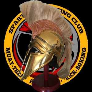 Trophée du tournoi