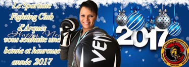 Bonne année 2017