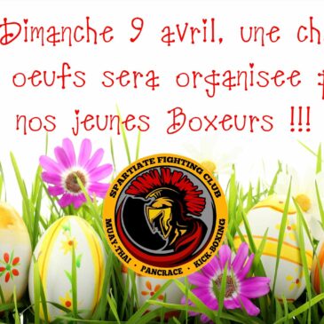 Chasse aux œufs 