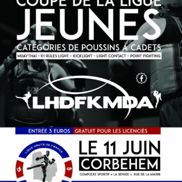 Coupe de la ligue des Hauts de France