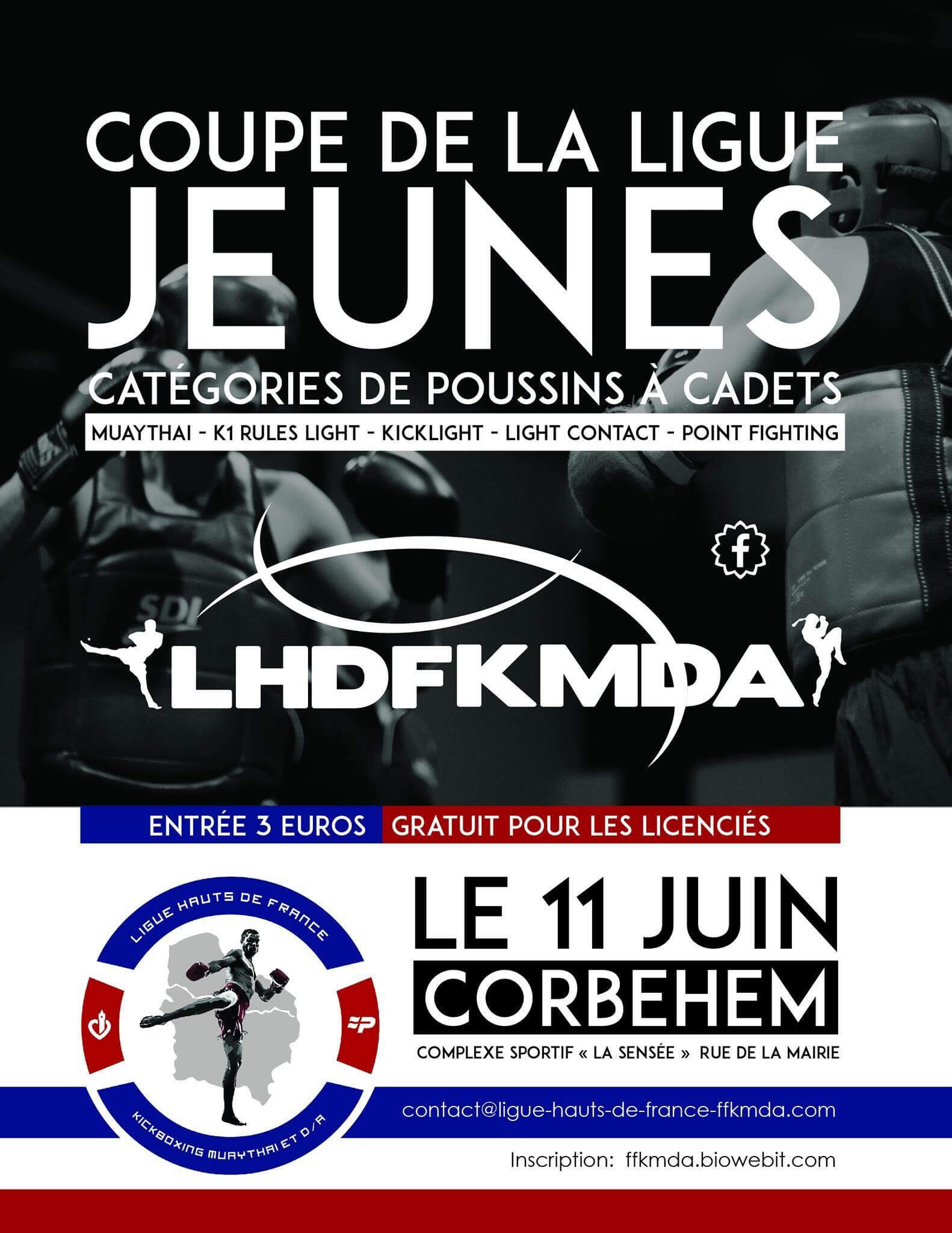 Coupe de ligue