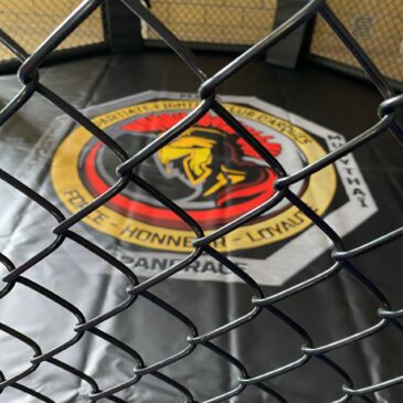 Compléments pour les demandes de licence MMA